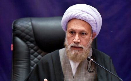 امام جمعه شیراز: گفتمان‌سازی و جریان‌سازی فرهنگی برای سومین حرم اهل بیت(ع) صورت گیرد
