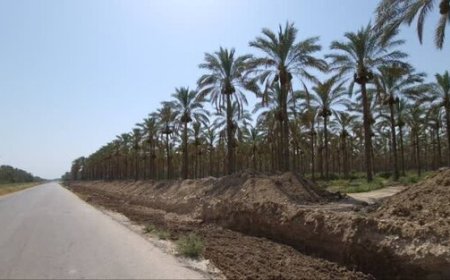 تکمیل فاز دوم محور گردشگری بوشهر