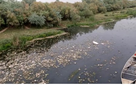 از نماد شادابی تا تهدید بهداشت؛ سرنوشت تلخ رودخانه دز در شهر حُر از توابع شوش