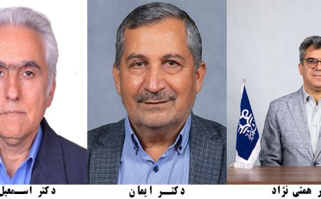 سه استاد دانشگاه شیراز نمونه کشوری شدند