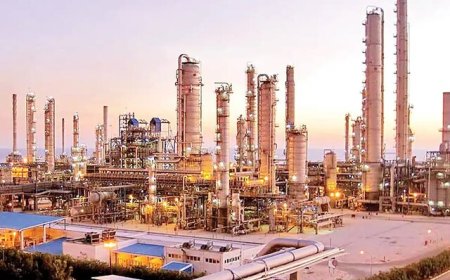 عملیات اجرایی پتروشیمی «چهاربیشه» گچساران آغاز می شود