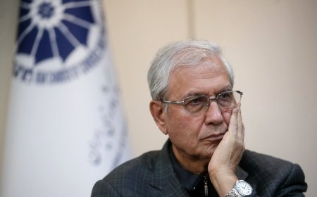 ربیعی در شیراز: هنوز به نظریه جامع جایگاه زنان در سیاست نرسیده‌ایم