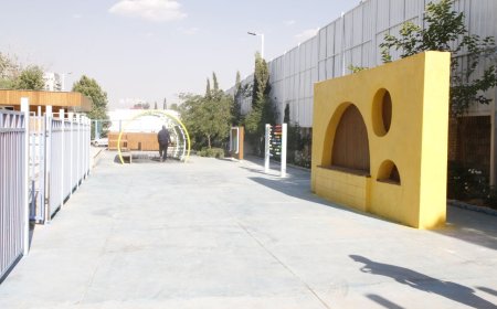 ببینید| گزارش تصویری افتتاح بزرگترین باغ اوتیسم در جنوب کشور