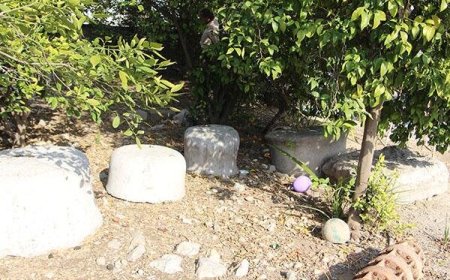 شناسایی پایه ستون‌های ساسانی که در یک خانه شخصی رها شده‌اند!