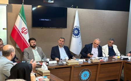 مشاور رئیس جمهور در شیراز: بخش خصوصی باید وارد میدان تصمیم‌سازی شود