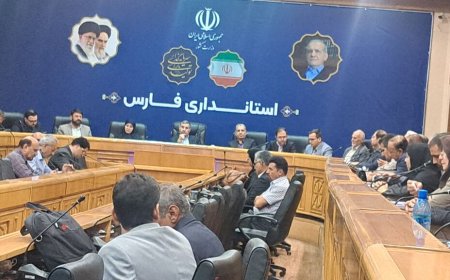 مشاور رئیس جمهور: دولت وفاق ملی نگاه ویژه ای به تشکل های مردم نهاد دارد