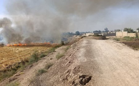 سوزاندن مزارع روستای قلعه سحر