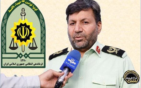 درگیری پلیس با قاچاقچیان و سارقان کتیبه‌های تاریخی در محدوده تخت جمشید