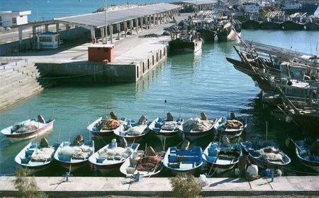 هشدار امنیتی در اسکله صیادی دیر؛ انتقال فوری لنج‌های باری کلید خورد