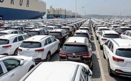 ضرب‌الاجل ۱۰ روزه برای ترخیص سریع‌تر خودروهای وارداتی در هرمزگان