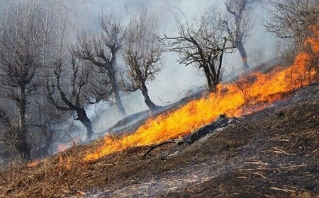 مهار آتش‌سوزی عرصه‌های طبیعی در پنج شهرستان خوزستان
