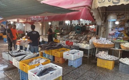 انتقال حدود ۷۰ درصدی اصناف دروازه کازرون به بازار پروتئین/ روند انتقال تدریجی است