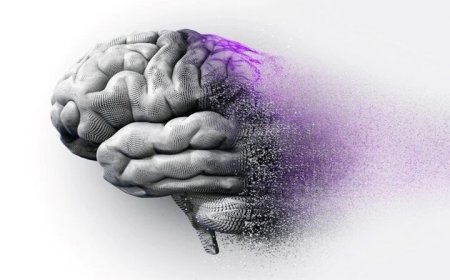 تشخیص زودرس و ارزیابی پاسخ به درمان آلزایمر در بوشهر