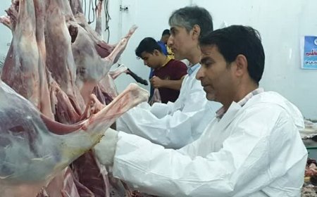 تمهیدات ویژه‌ دامپزشکی بوشهر برای عید قربان