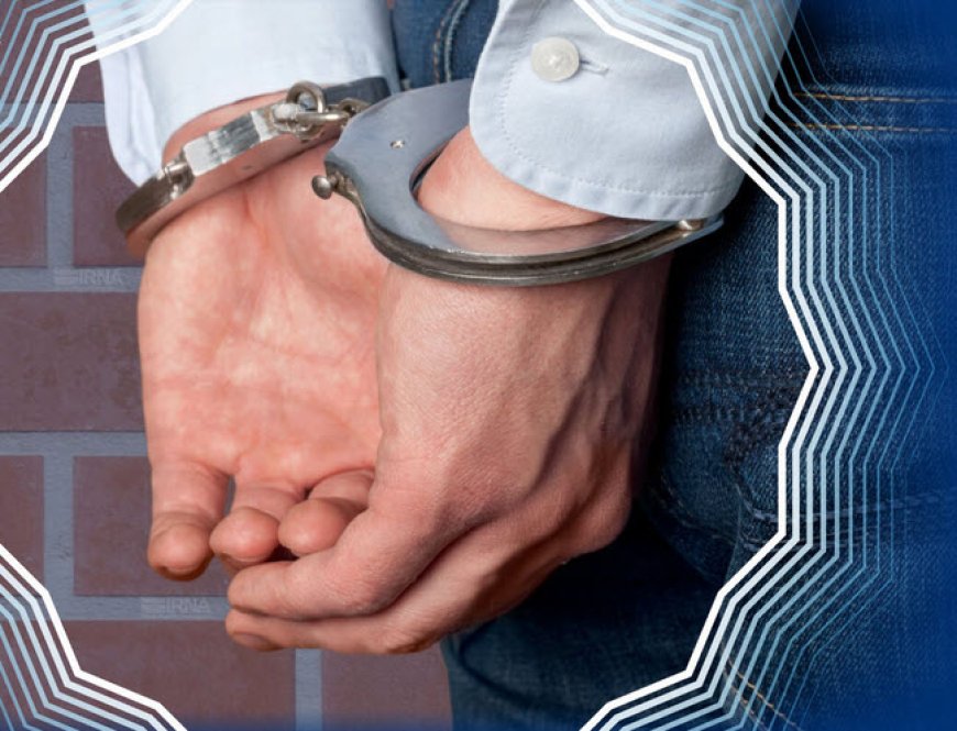 فردهتاک به بانوی‌قشمی در بازداشت‌پلیس است