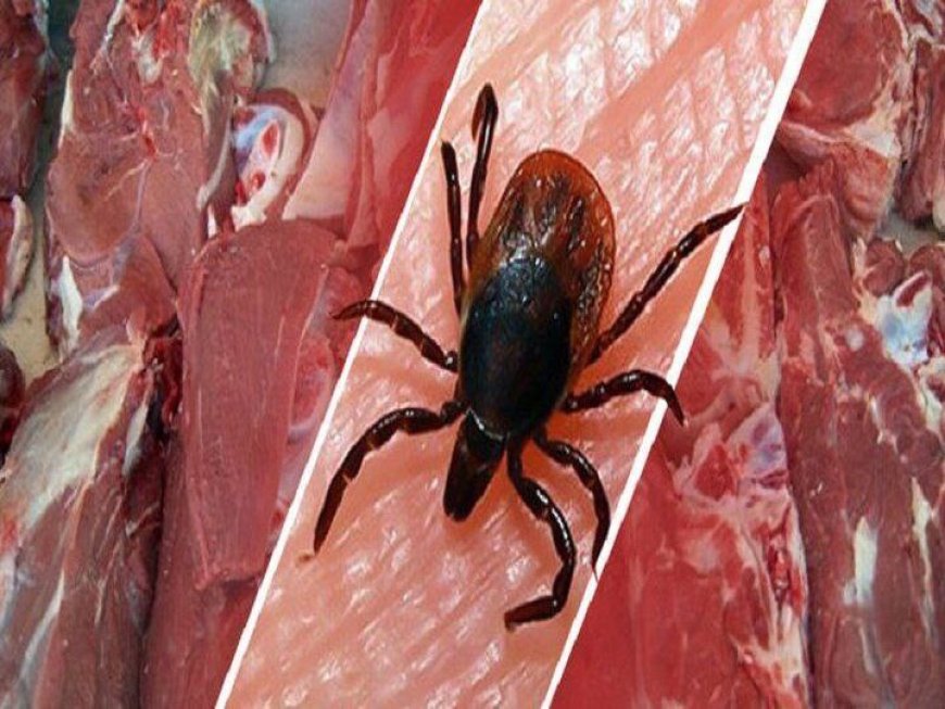 فوت یک نفر به علت ابتلا تب کریمه کنگو در فسا