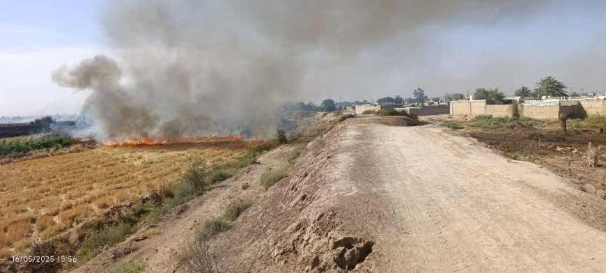 سوزاندن مزارع روستای قلعه سحر