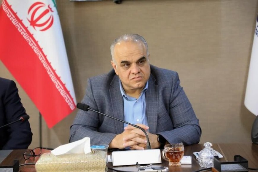اصلاح ساختار دیپلماسی اقتصادی بدون سند راهبردی ممکن نیست
