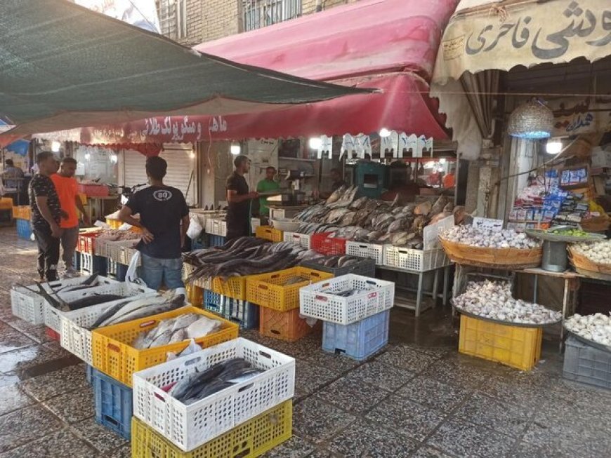 انتقال حدود ۷۰ درصدی اصناف دروازه کازرون به بازار پروتئین/ روند انتقال تدریجی است