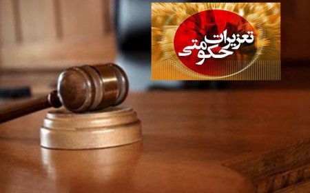 بار موز قاچاق در تور قانون