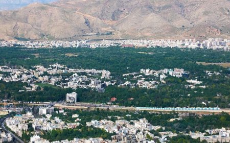 معاون شهردار: سند جامع محیط زیست شهری شیراز تدوین می‌شود