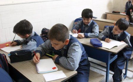 اجرای طرح «حامی» با هدف جبران عقب ماندگی درسی دانش آموزان ابتدایی در فارس