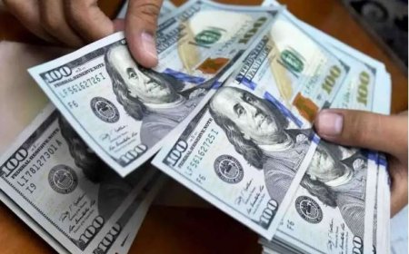 پیش بینی قیمت دلار ۲۶ خرداد ۱۴۰۴ / دلار بلاتکلیف شد