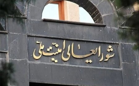 بیانیه شورای عالی امنیت ملی درباره مقابله با جاسوسان و عوامل دشمن