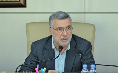 نامه وزیر بهداشت به مجامع بین‌المللی و درخواست محکومیت و توقف تجاوزات رژیم صهیونیستی علیه ایران