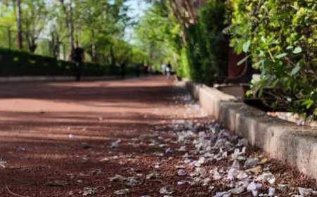 مجموعه‌ فرهنگی و ورزشی انقلاب تعطیل شد