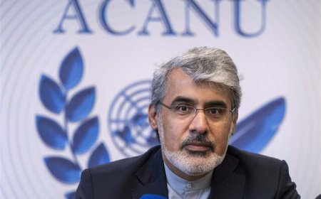 سفیر ایران خواستار صراحت صلیب سرخ در محکومیت تجاوزگری رژیم صهیونیستی شد