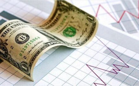 قیمت دلار سقوط کرد