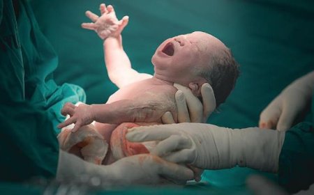 1404.4.4 چه با نوزاد می کند؟