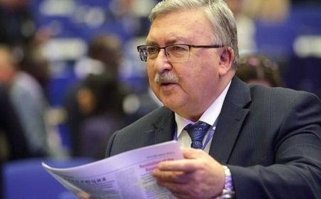 اولیانوف: تصمیم ایران برای تعلیق همکاری با آژانس تعجب‌آور نیست