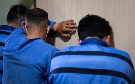 عاملان نزاع دسته جمعی در شیراز دستگیر شدند
