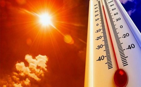 ماندگاری هوای گرم در فارس/ احتمال رگبار پراکنده در جنوب‌ شرق استان