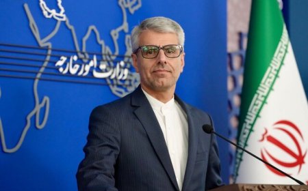 سخنگوی وزارت خارجه: در ۱۲ روز حدود ۹۰۰ نفر به شهادت‌ رسيدند
