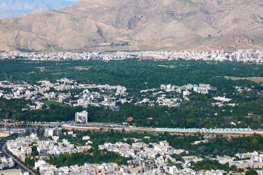 معاون شهردار: سند جامع محیط زیست شهری شیراز تدوین می‌شود