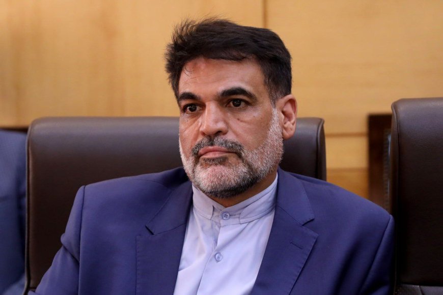 بانک‌های خصوصی در پیشبرد اقتصاد کشور نقشی ندارند