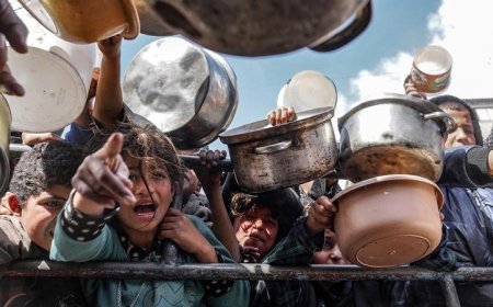 سازمان ملل: سیستم غذایی در غزه در حال فروپاشی کامل است