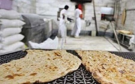 پرداخت تسهیلات دوگانه‌سوز کردن نانوایی‌ها در دشتی تسریع شود