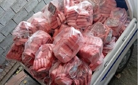 کشف و معدوم‌سازی ۶۸۰ کیلوگرم جگر مرغ تاریخ گذشته در بشاگرد