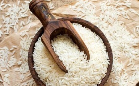 رئیس اتحادیه بنکداران مواد غذایی: برنج پاکستانی را این‌گونه کیلویی ۲۵۰ هزار تومان می‌فروشند