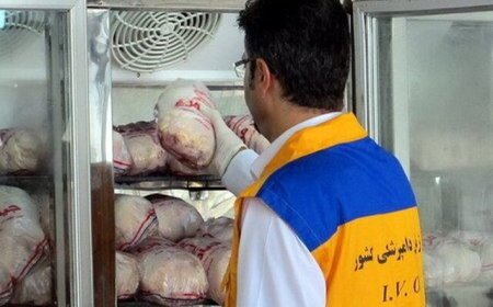 افزایش تولید گوشت مرغ در خوزستان با نظارت دامپزشکی