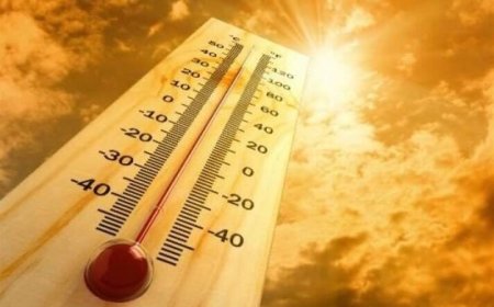 دمای هوا در برخی نقاط استان بوشهر به ۵۱ درجه رسید