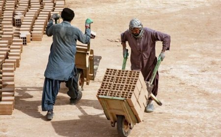 پلمب و ارجاع به دستگاه قضایی در انتظار خدمات دهندگان به اتباع خارجی غیرمجاز