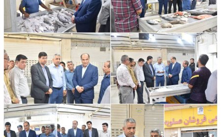 بازدید فرماندار از بازارچه صیادی در اسکله عسلویه