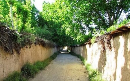 شهرداری ویژه‌ی باغات قصردشت شیراز تشکیل می‌شود