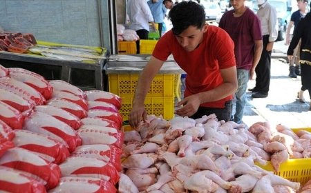 تشدید نظارت بر بازار مرغ در فارس