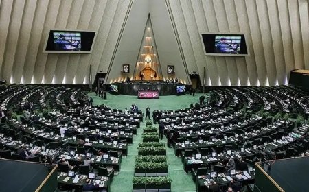 زمزمه هاى تشكيل سازمان ملى مهاجرت جد ى تر شد/مجلس آستين بالا زد